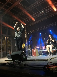 Flamenco por la Vida 1