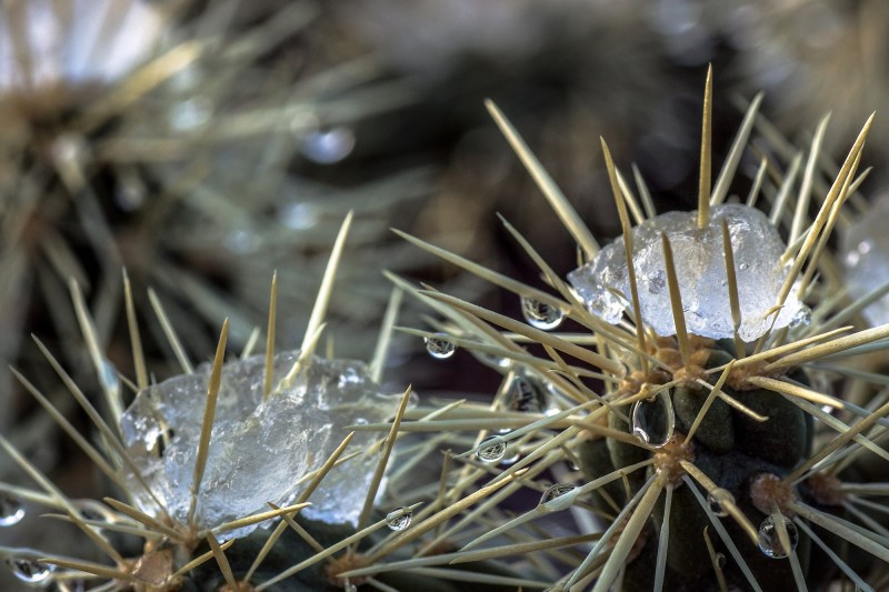 Courtesy of A O Tucker