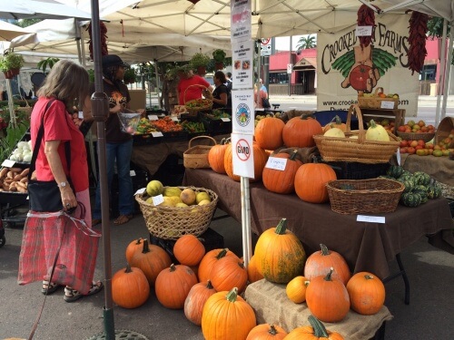 Public market pumpkins