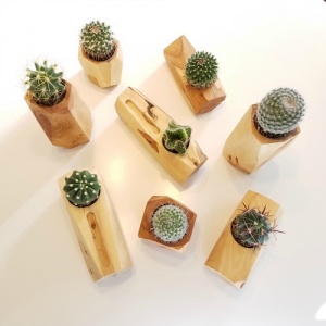 Lola and Pine Design.