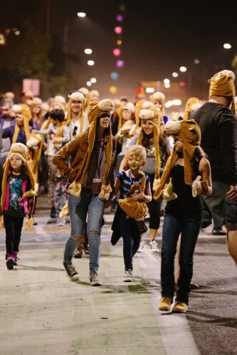 photo-gaf-2015-photo-by-jessica-hately-monkeys-marching-by-jessica-hately