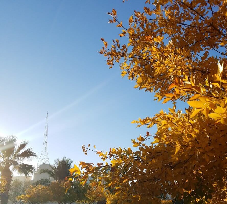 Photo by Jeffrey Borup.