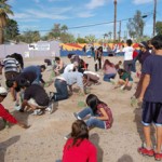 Collaborative Cactus Planting at Parque Libertad in Garfield