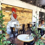 Live PHX | Ralf the Rooster